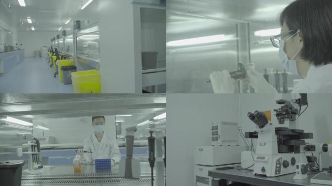 4K医学实验室，科研人员