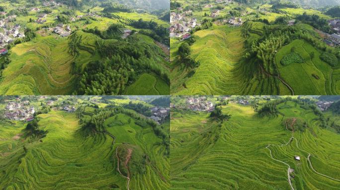 飞跃云和梯田