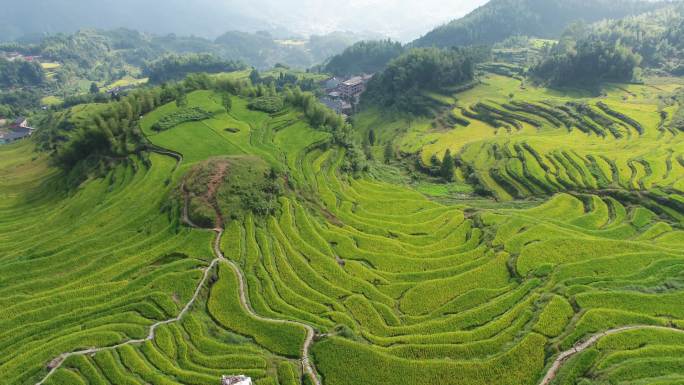 飞跃云和梯田