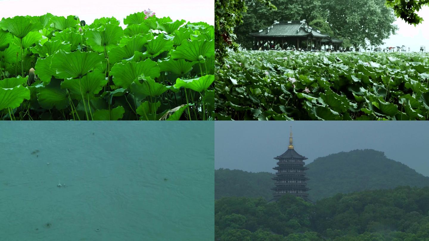 杭州雨西湖遊船雷峰塔_1920x1080_高清視頻素材下載(編號:1764311)