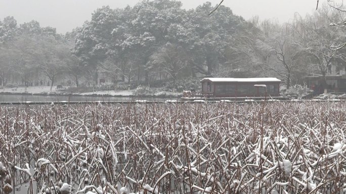 杭州下雪西湖游船人群