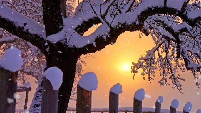 天冷啦下雪啦视频素材