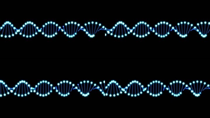 AE模板DNA循环FORM粒子