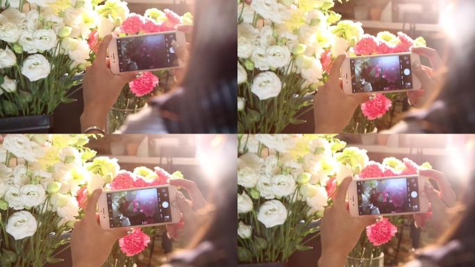 手机拍摄鲜花