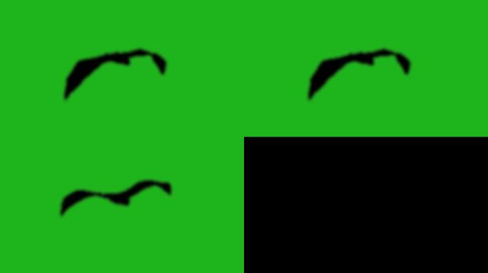 绿背景黑色蝙蝠单个循环飞舞