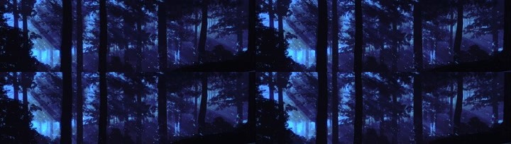 场景-树林-夜晚树林2