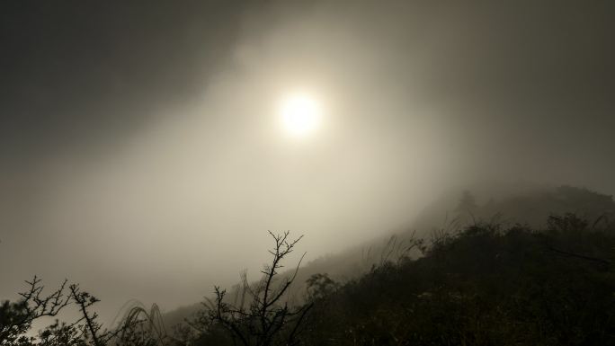 云雾飘渺的白鹤尖