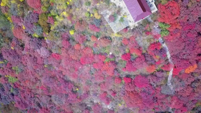 潍坊临朐石门坊红叶景区