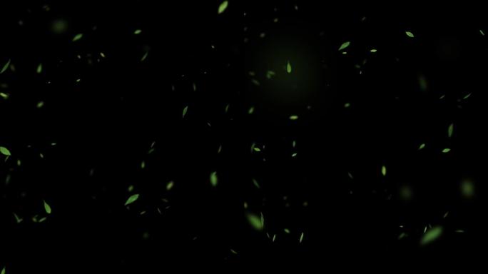 4K10秒大中小绿叶中间发射无限循环