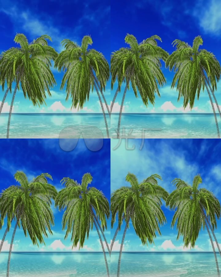 椰林树影