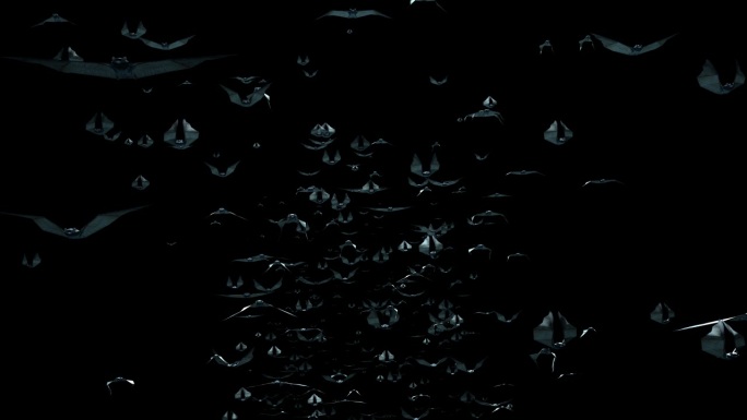 生物-蝙蝠-冲镜3（带通道）