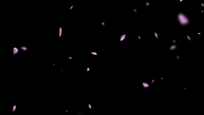 4K紫藤花无限循环花瓣