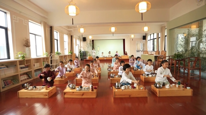 学生唯美茶艺展示传统文化
