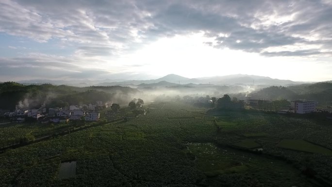 清晨云雾缭绕梦幻小村