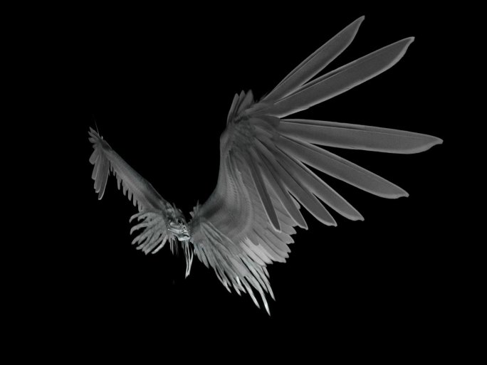 物件-翅膀-飞行2（带通道）
