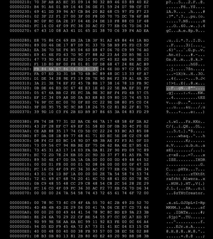 数字科技码