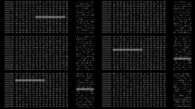 数字科技码