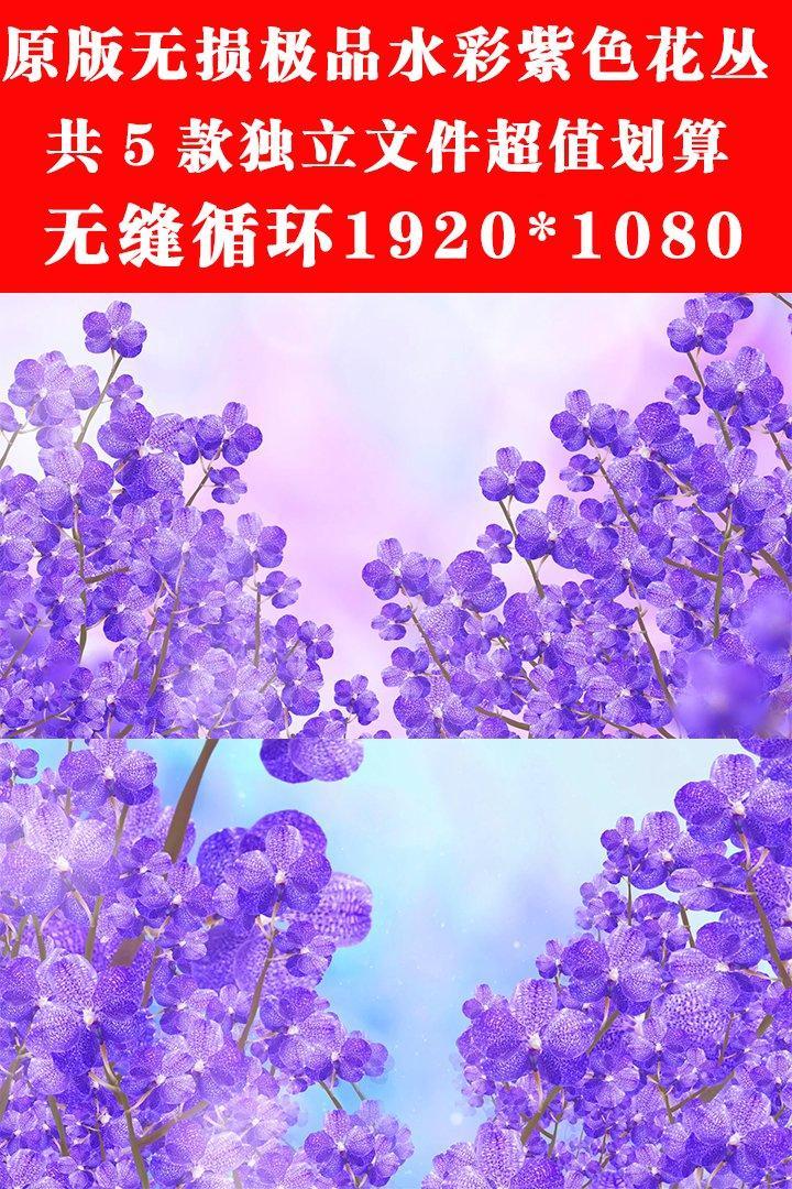 原版紫色水彩花背景合集 5款 Mov 视频素材包下载 编号 舞台背景 Vj师网www Vjshi Com 原版紫色水彩花背景合集 5款 Mov 视频素材包下载 编号 舞台背景 Vj师网www Vjshi Com