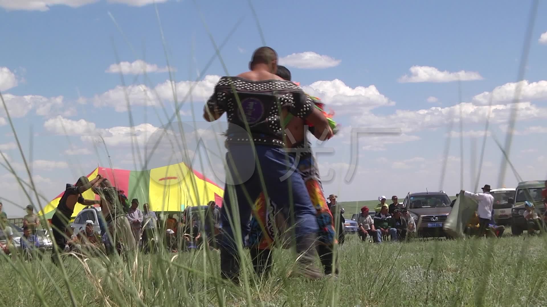 陆军国际运动会在蒙古举行 各国战马草原竞技
