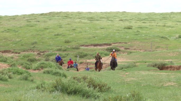 内蒙古大草原蒙古马牧马人