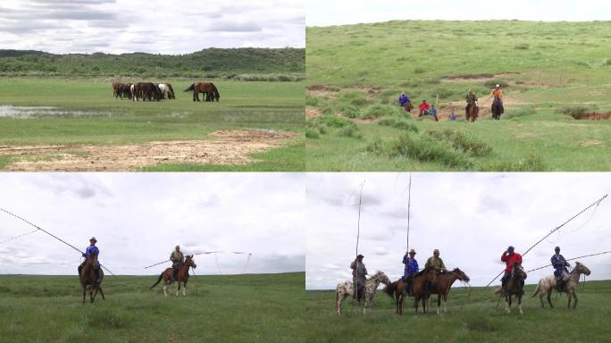 内蒙古大草原蒙古马牧马人