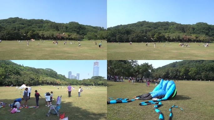 公园兰天青山草地草坪大人小孩放风筝运动休