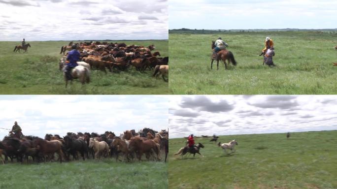 内蒙古大草原牧马人套马