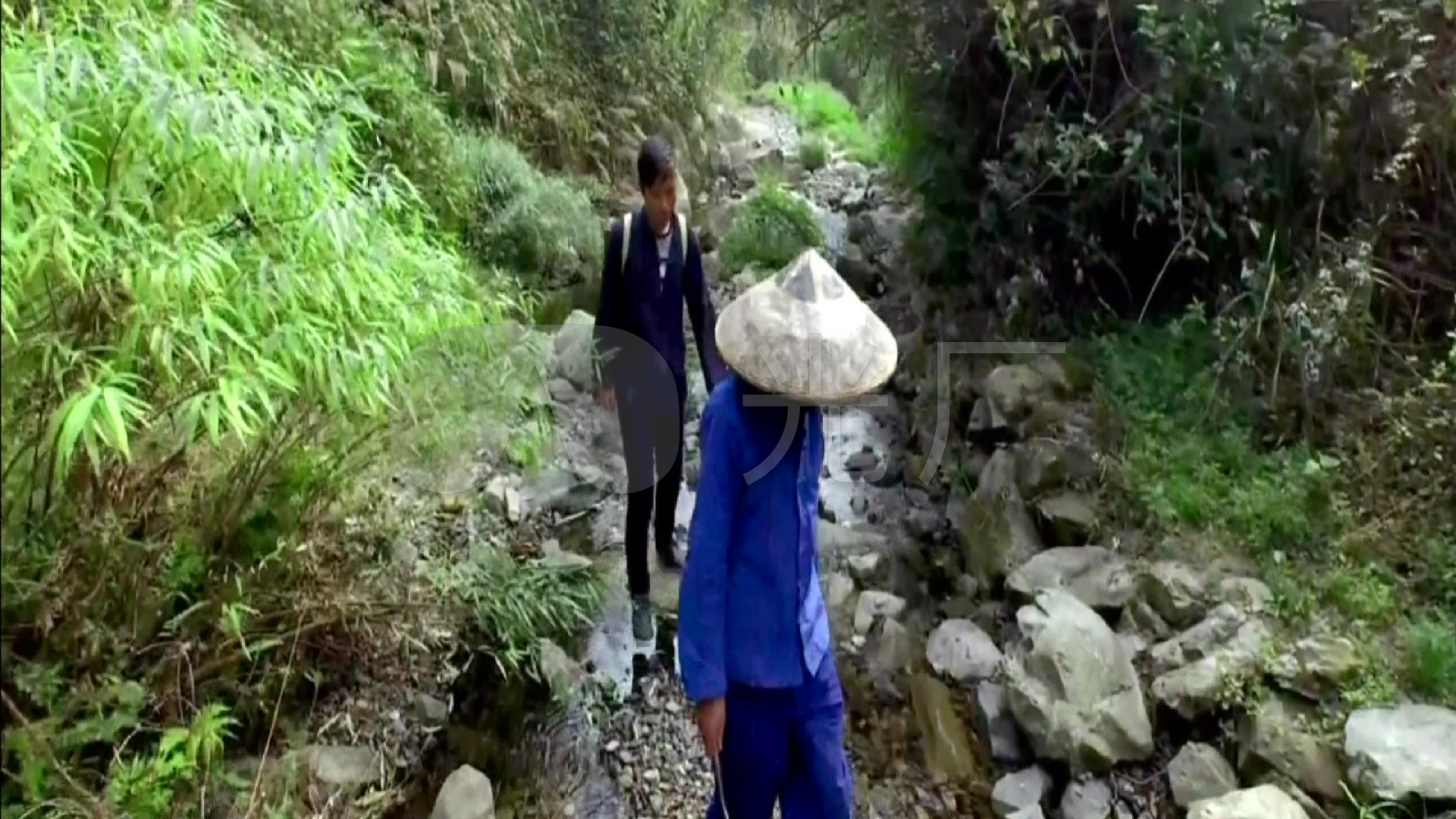 航拍吕洞山高山民间苗医带徒弟上山采药穿山