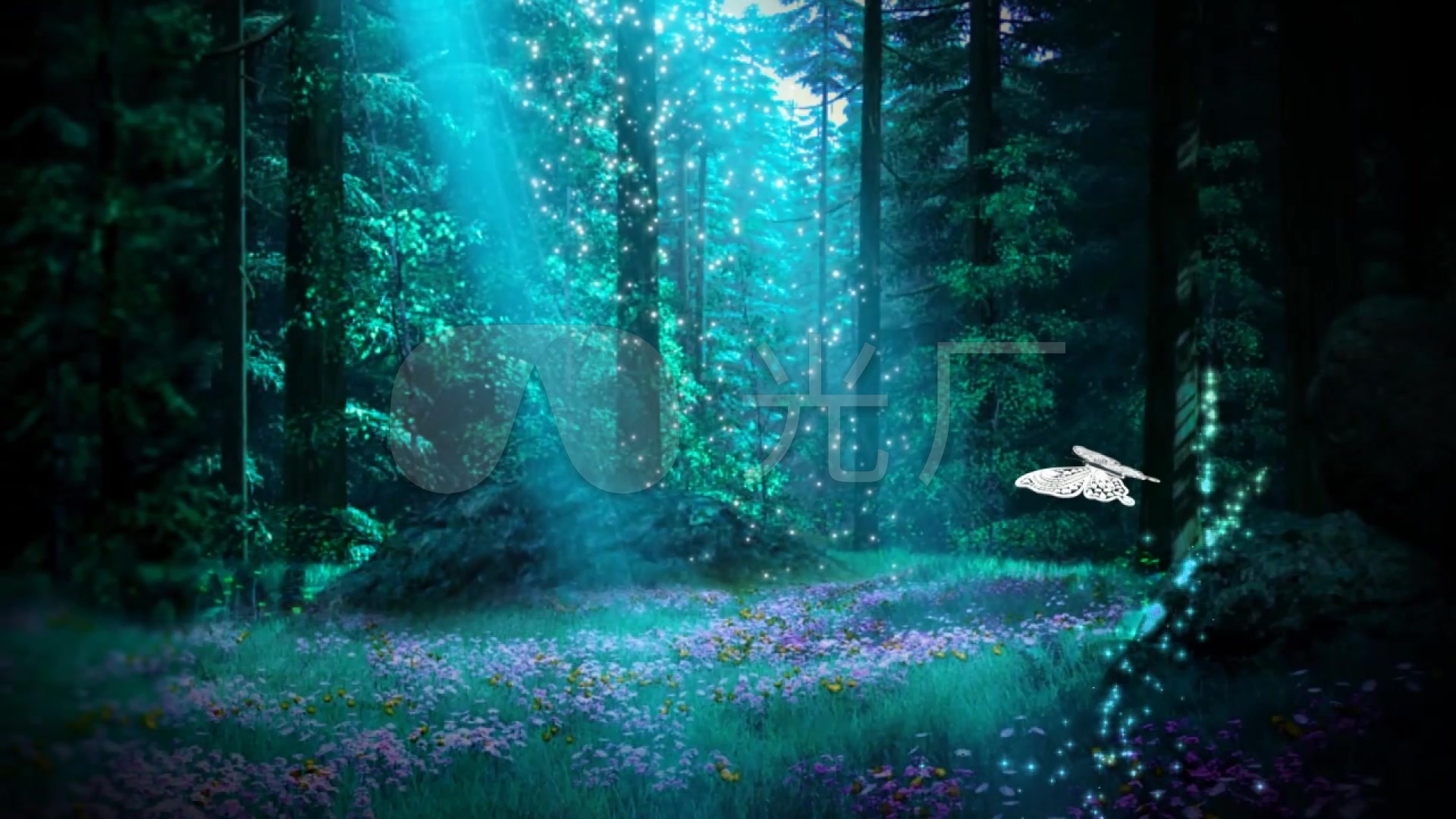 魔幻森林树洞背景背景图片下载_6000x6000像素JPG格式_编号1mrf6pelv_图精灵