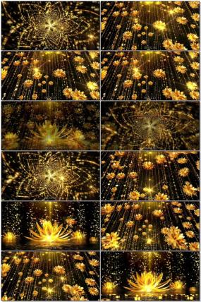 金色莲花视频素材下载 金色莲花ae模板下载 Vj师网