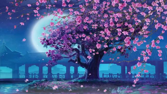 黄梅戏十五的月亮为谁圆桃花树夜景浪漫花好