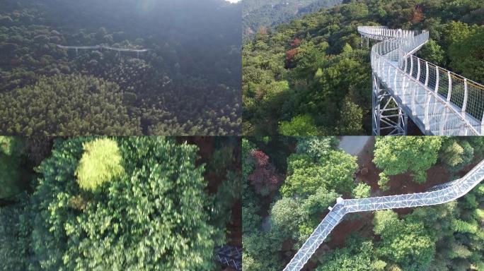 赣州大余丫山玻璃栈道航拍