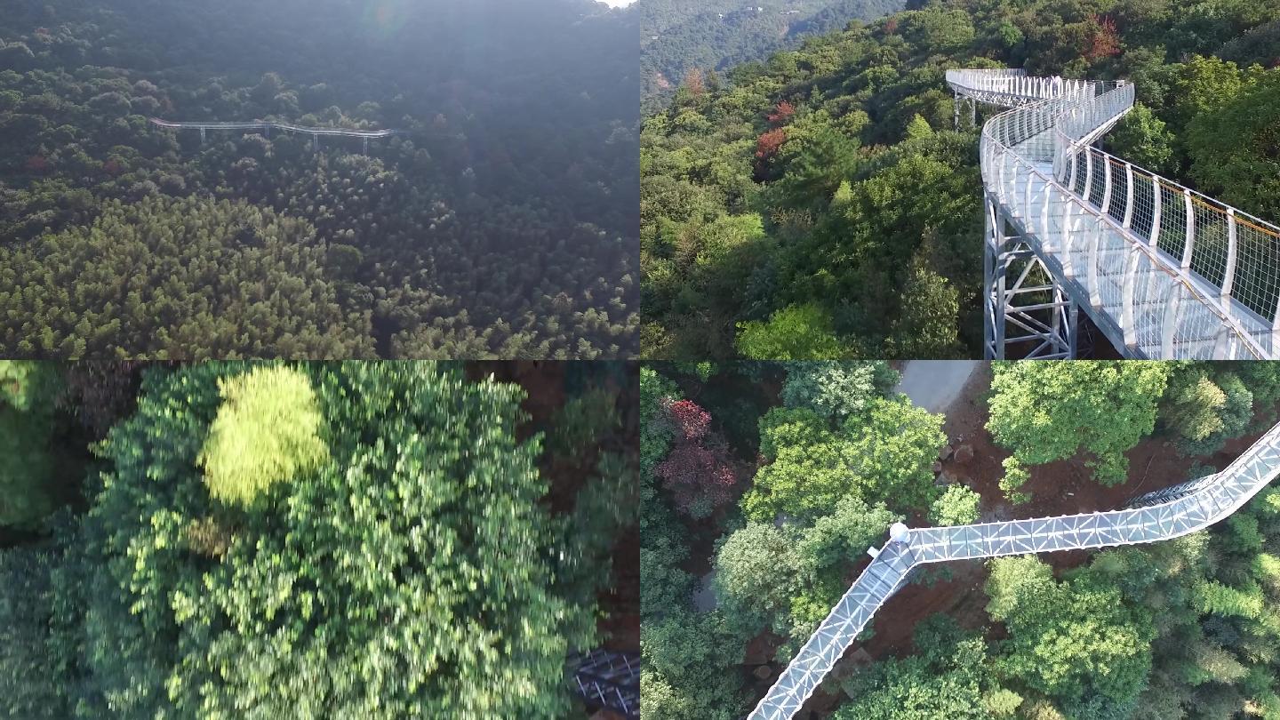 赣州大余丫山玻璃栈道航拍