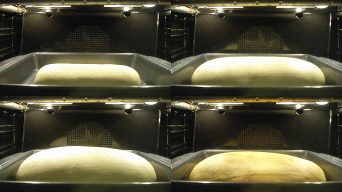 面包发酵