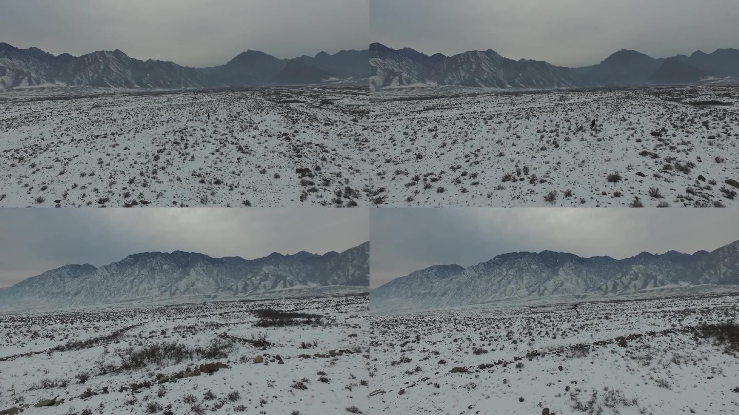 服务器冰天雪地（冰天雪地场景任务） 服务器冰天雪地（冰天雪地场景任务

）「冰天雪地场景怎么获取」 行业资讯