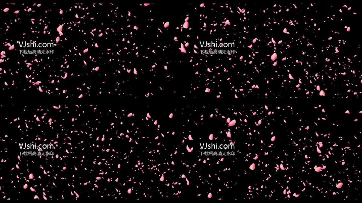 花瓣飘落粒子
