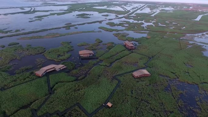 东滩湿地