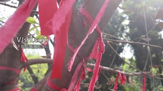 红绳许愿树视频