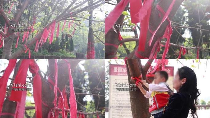 红绳许愿树视频
