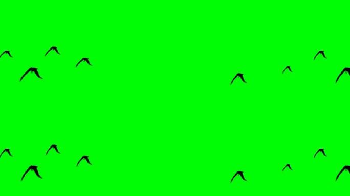 绿色通道鸟飞视频素材