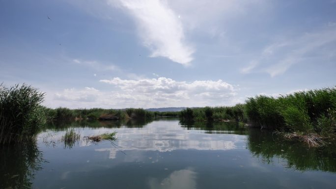 湖水芦苇荡穿越（高速）新疆风光