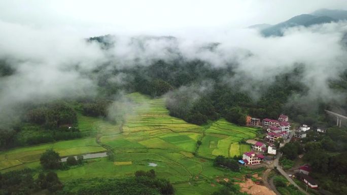航拍云雾掩映下的生态山村稻田