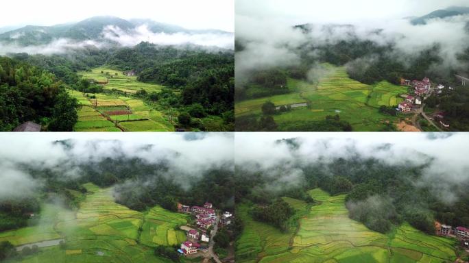 航拍云雾掩映下的生态山村稻田