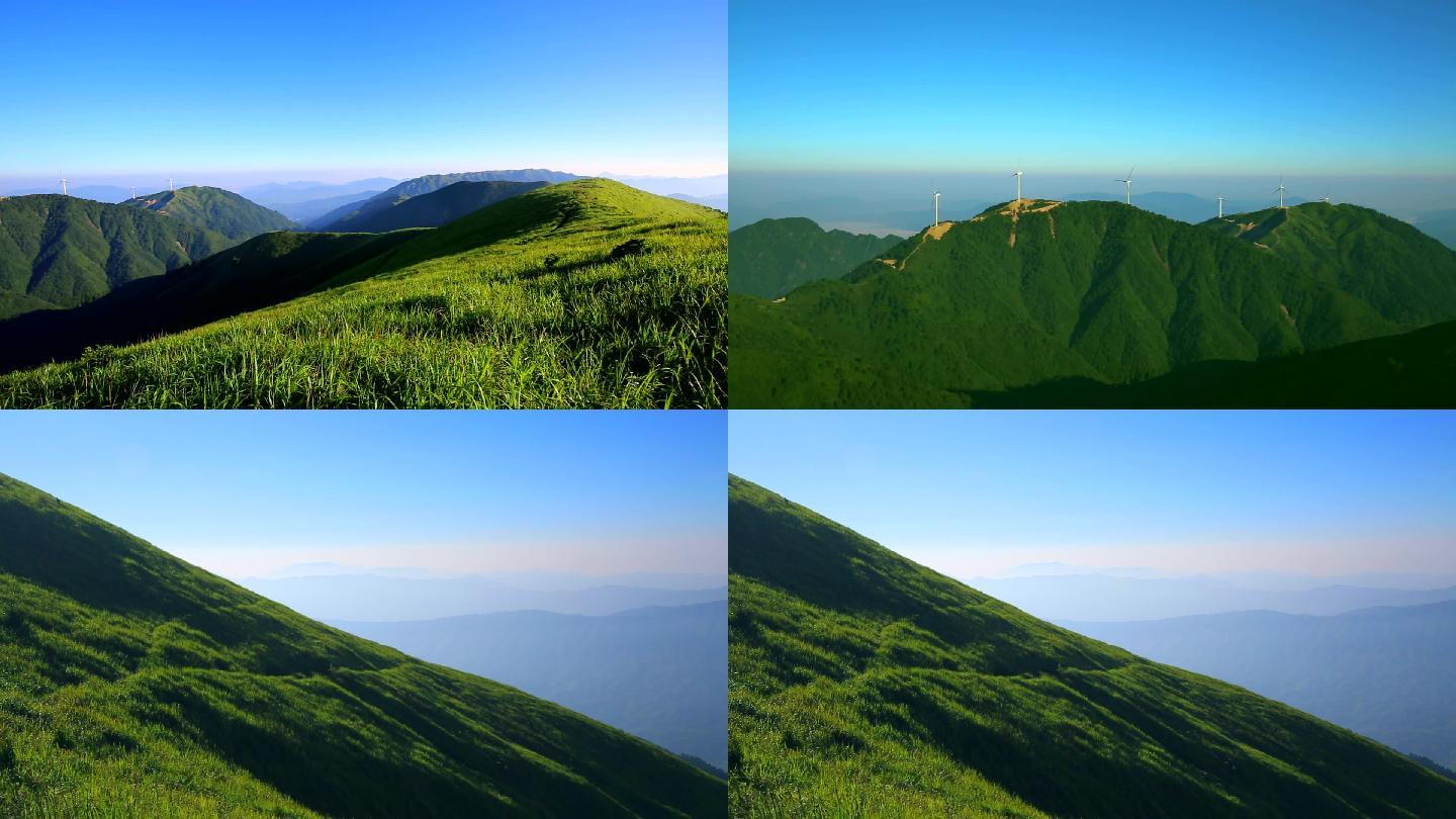 高山草甸