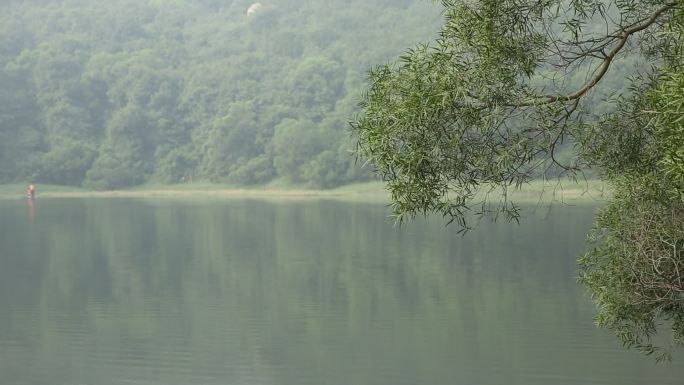 高清实拍森林美景水面树枝倒影波光粼粼