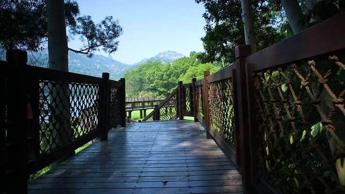 高清实拍公园栈道阳光树叶风景幽静夏日自然