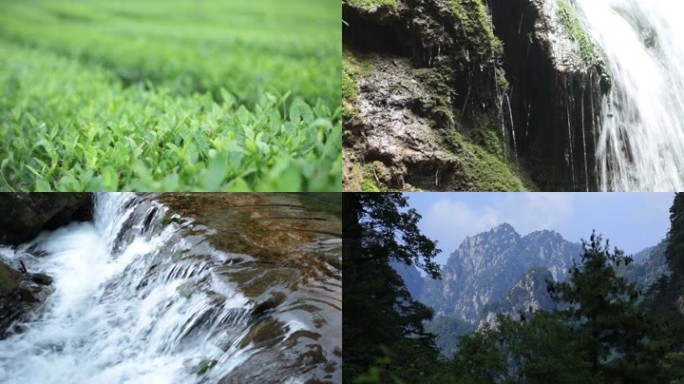 风景视频山间溪流同心锁山脉植物