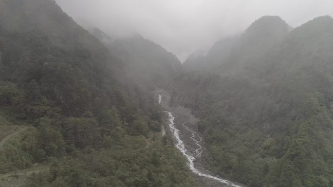 石棉山区4K素材森林航拍