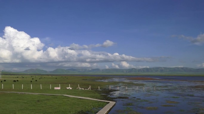 草原湿地尕海湖