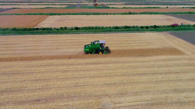 农田小麦收割